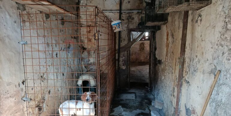 20251222160919-1011662-5