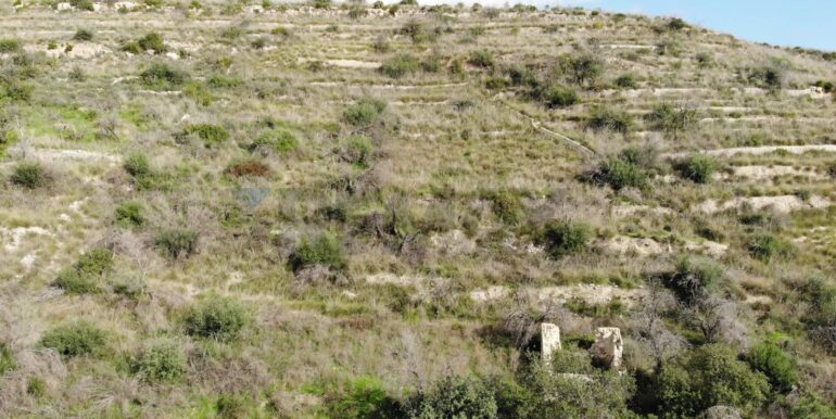 20251223125805-1012166-1