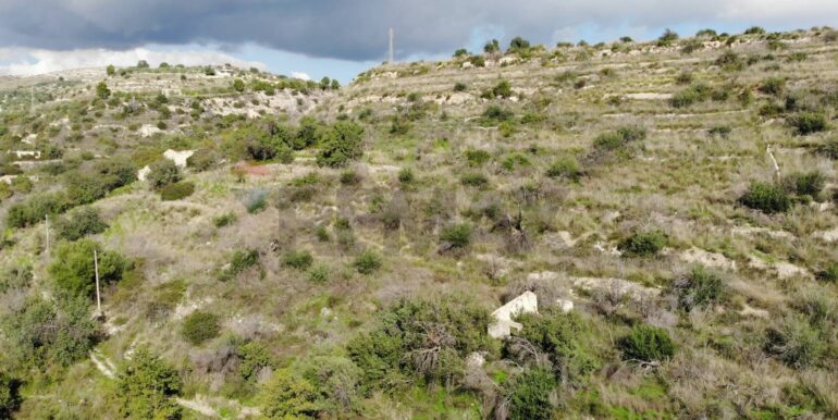 20251223125812-1012166-3