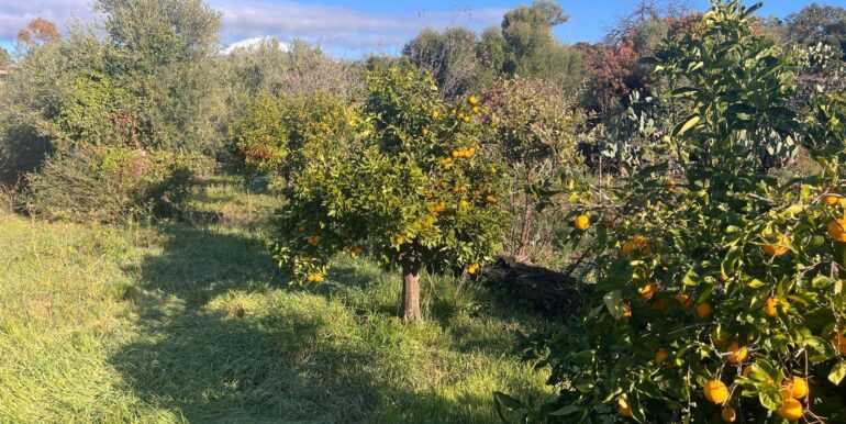 20251223171519-1012153-20