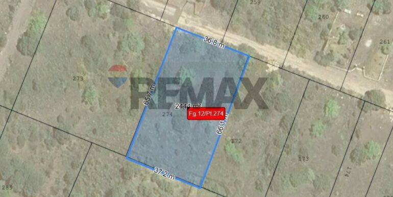 20251224100602-1005016-4