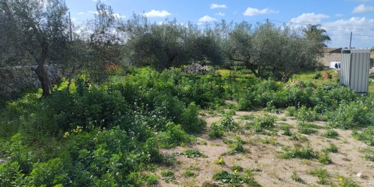 20251224161858-1012475-16