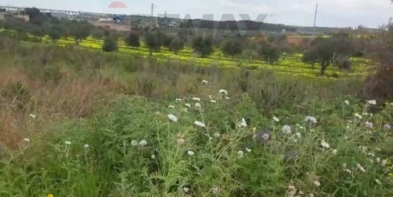 20251227151835-1012515-8