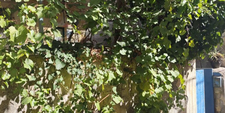 20251227164054-1011542-8