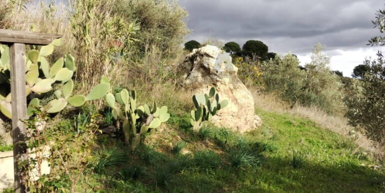 20251228102745-1012523-13