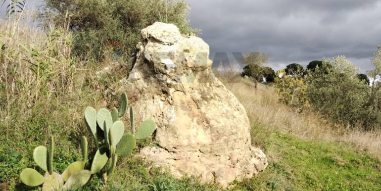 20251228102803-1012523-20