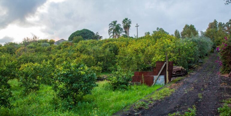 20251229112434-1012611-4