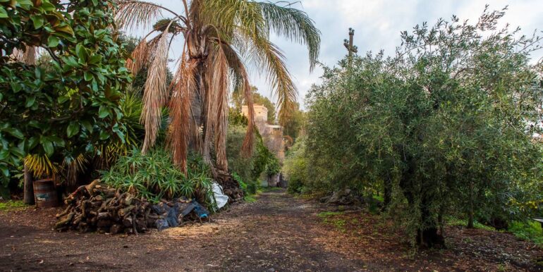 20251229112505-1012611-13