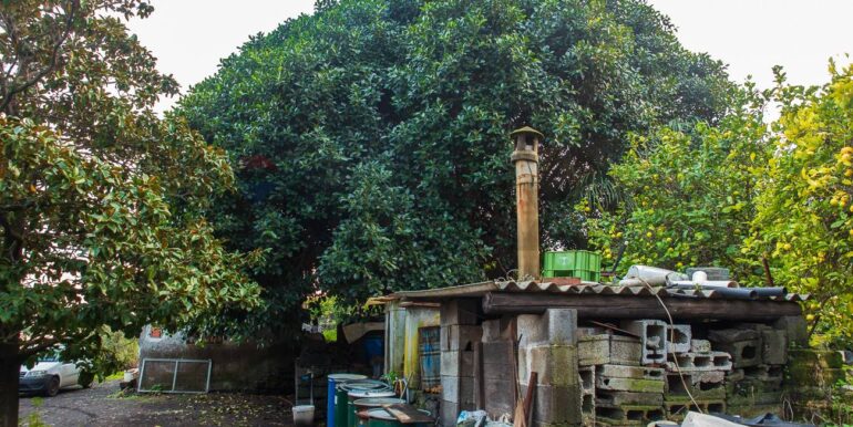 20251229112521-1012611-16