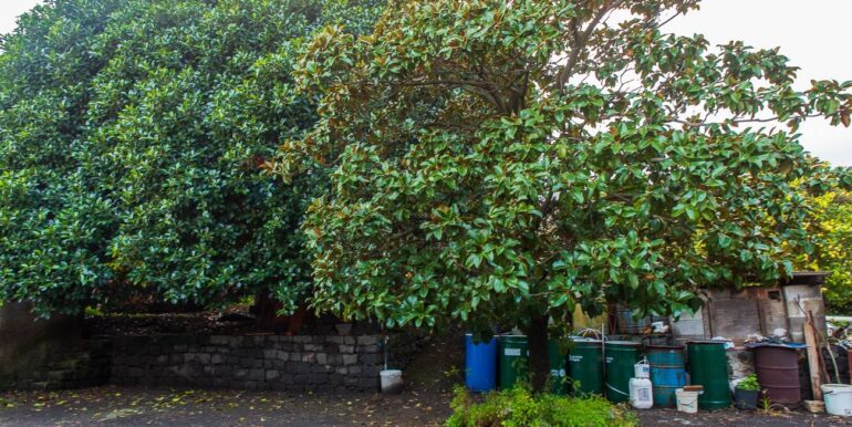 20251229112526-1012611-17