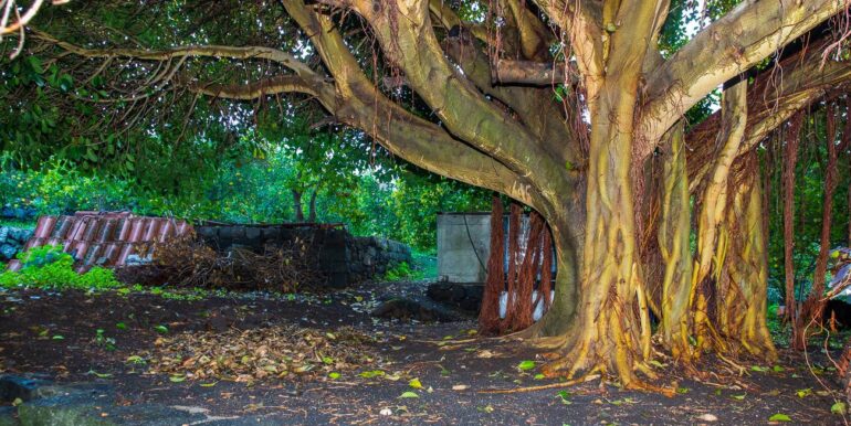 20251229112533-1012611-18