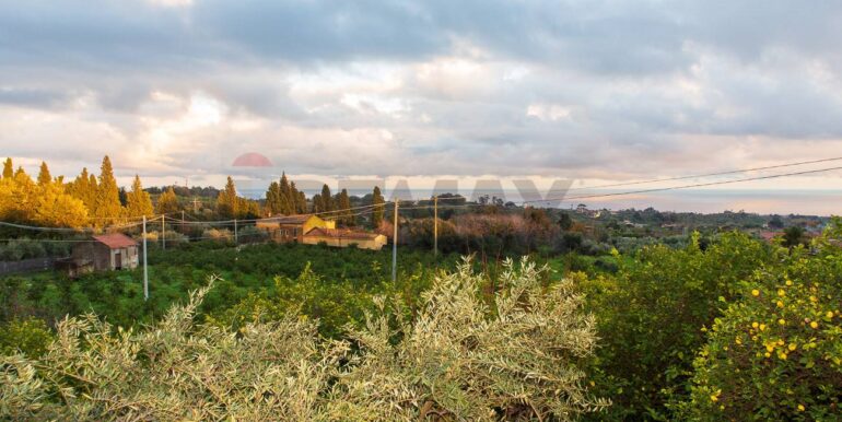 20251229112549-1012611-21