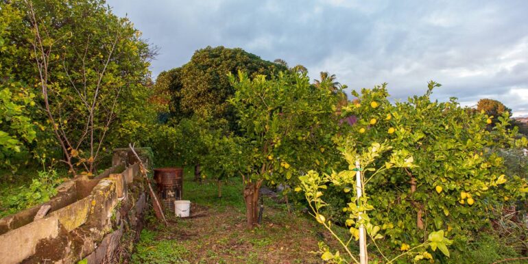 20251229112610-1012611-25