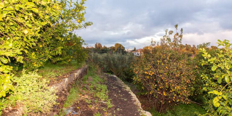 20251229112615-1012611-26