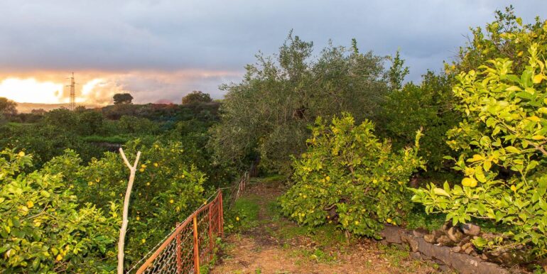 20251229112620-1012611-27