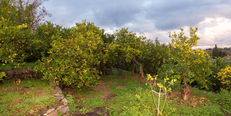 20251229112625-1012611-28