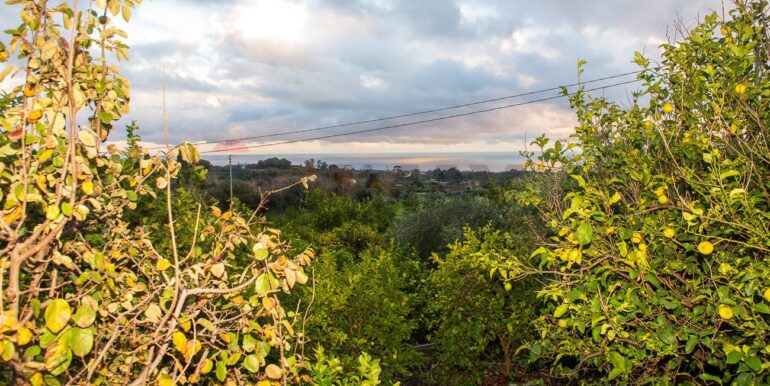 20251229112630-1012611-29