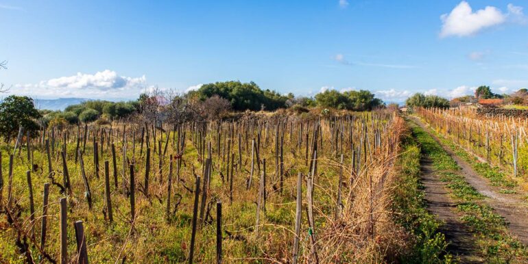 20251229114306-1012621-1