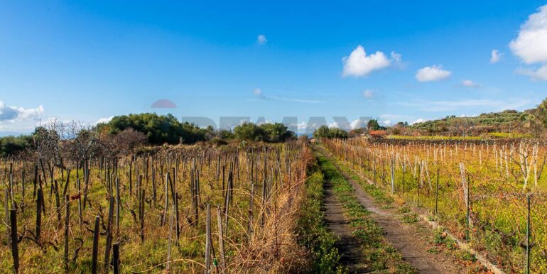 20251229114311-1012621-2