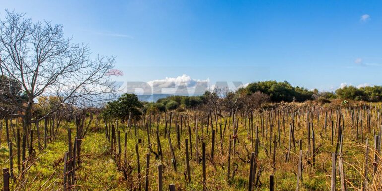 20251229114315-1012621-3