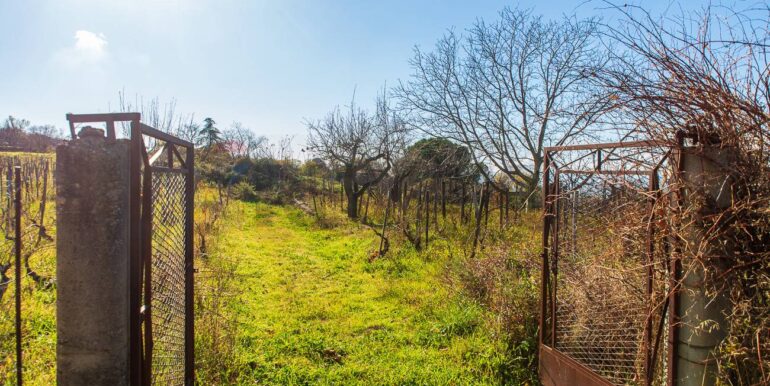 20251229114318-1012621-4