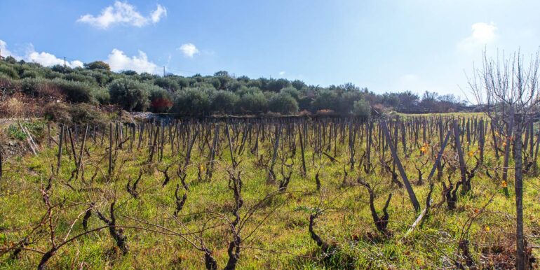 20251229114322-1012621-5