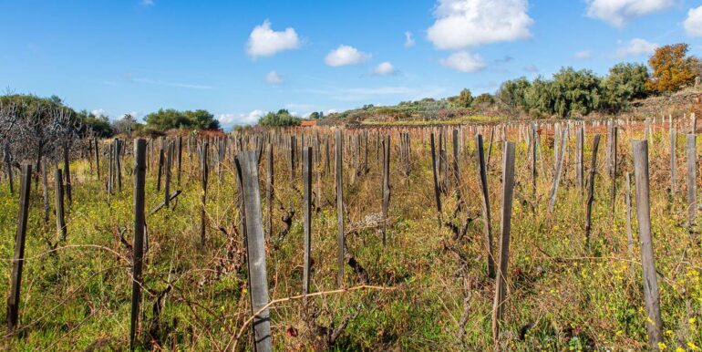 20251229114326-1012621-6