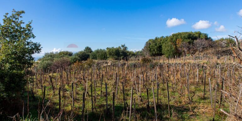 20251229114330-1012621-7