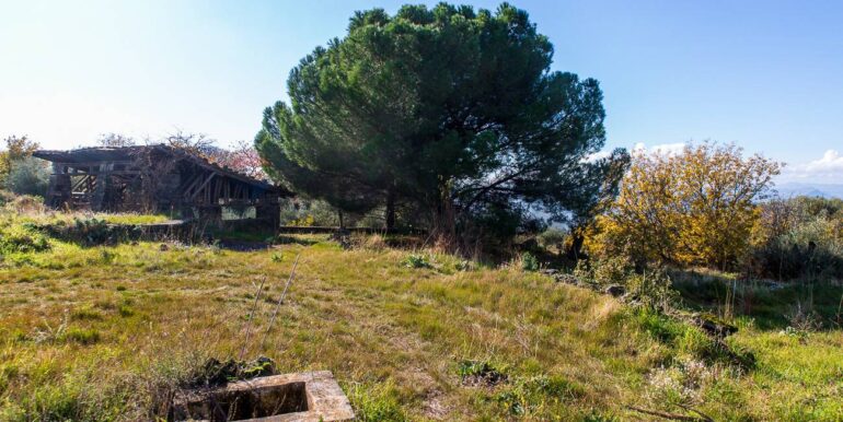 20251229114334-1012621-8