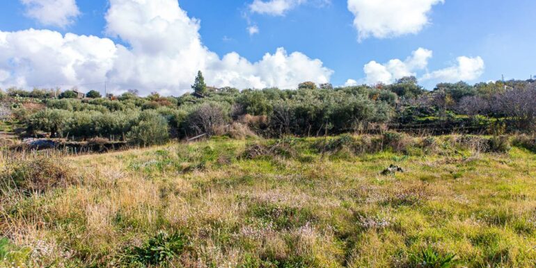 20251229114337-1012621-9