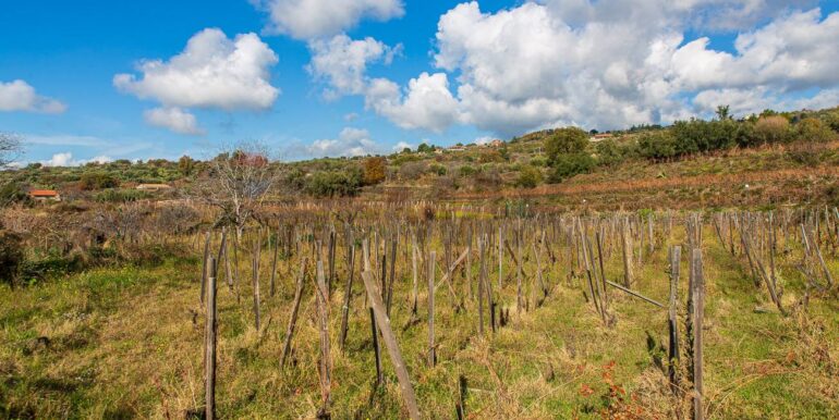 20251229114341-1012621-10