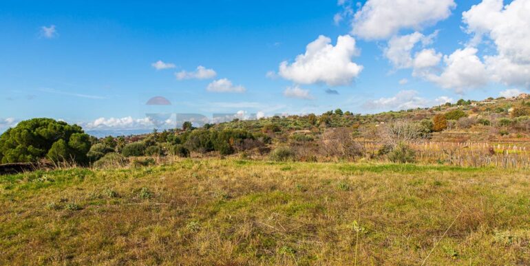 20251229114346-1012621-11