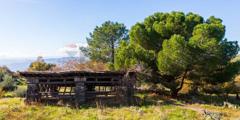 20251229114350-1012621-12