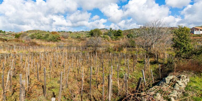 20251229114354-1012621-13