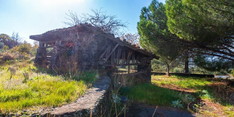 20251229114358-1012621-14