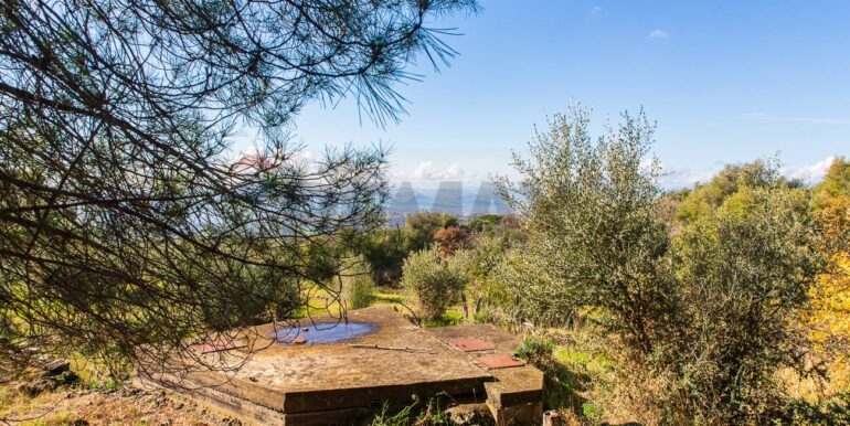 20251229114402-1012621-15