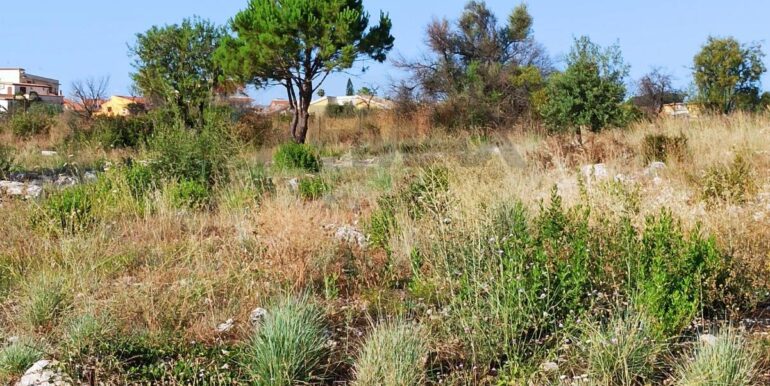 20251229151559-1012661-5