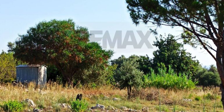 20251229151605-1012661-7