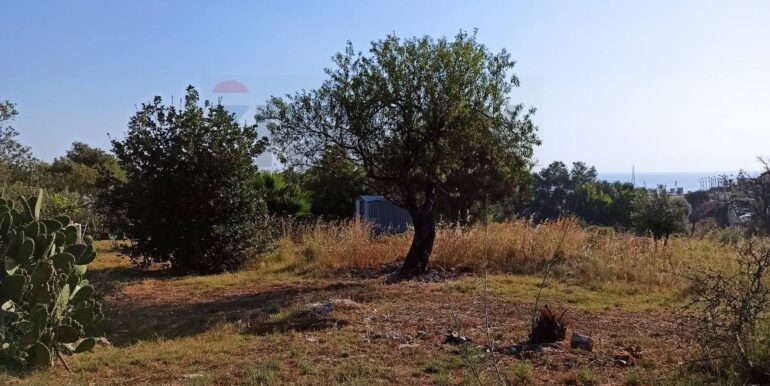 20251229151617-1012661-11