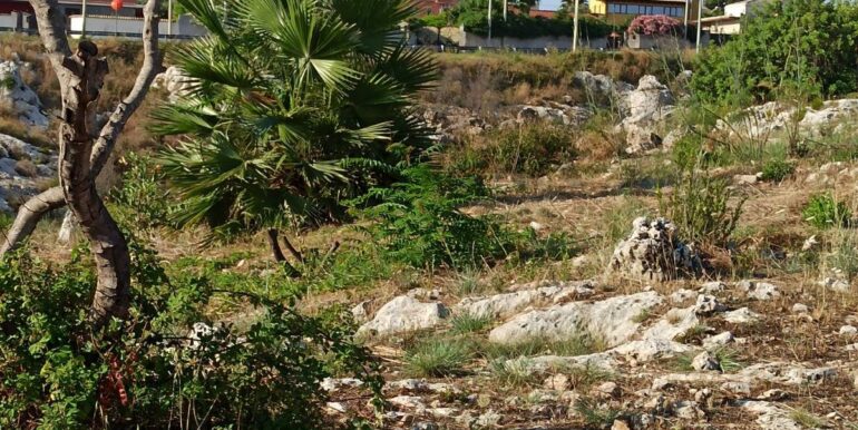 20251229155510-1012665-2