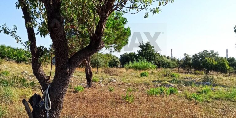 20251229155514-1012665-3