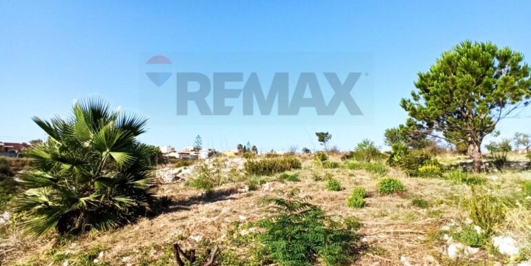 20251229155517-1012665-4