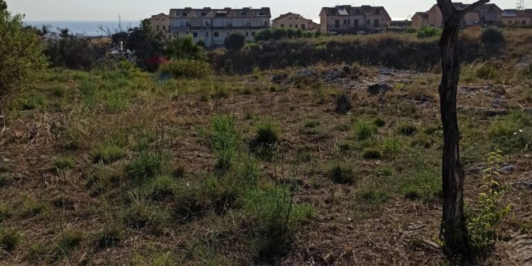 20251229155528-1012665-8