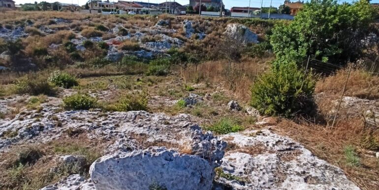 20251229155531-1012665-9