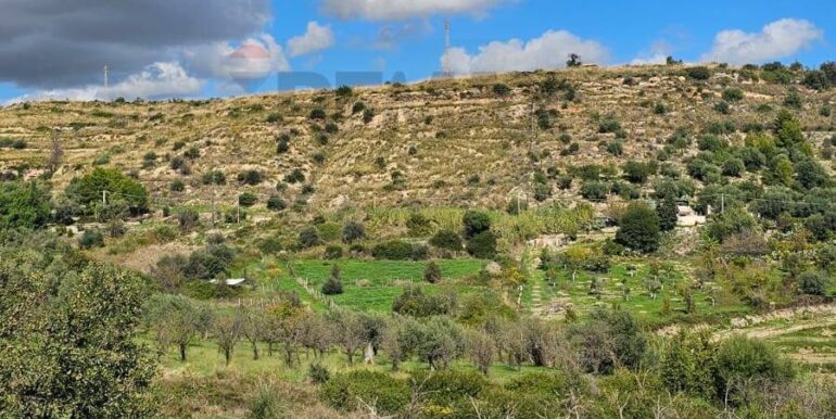 20251230121739-1012793-2