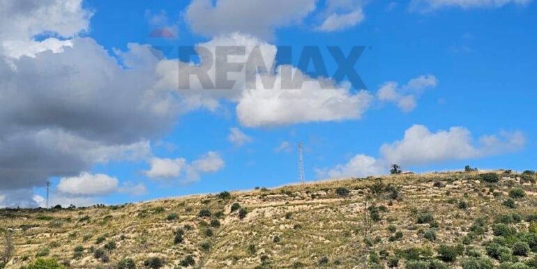 20251230121743-1012793-4