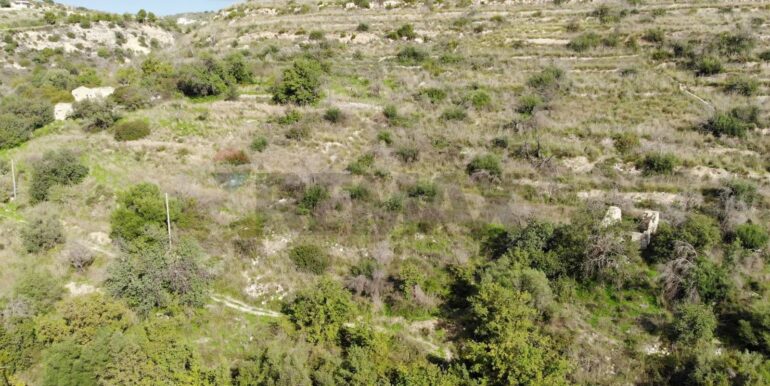 20251230125139-1012791-3