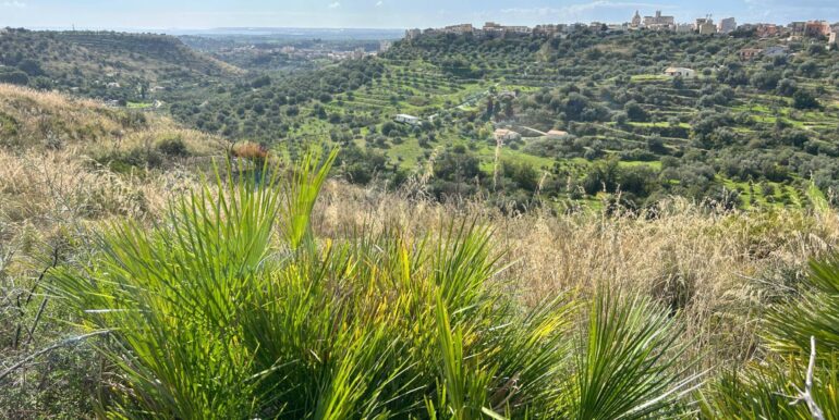 20251230125202-1012791-6