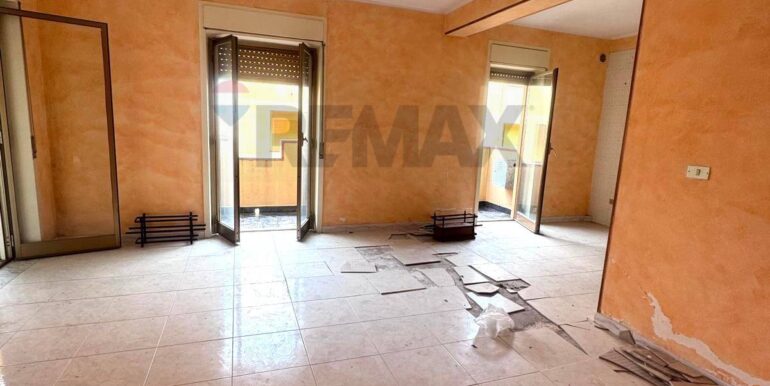 20251230172816-1013159-1