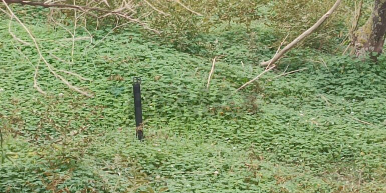 2025123175230-1013177-3